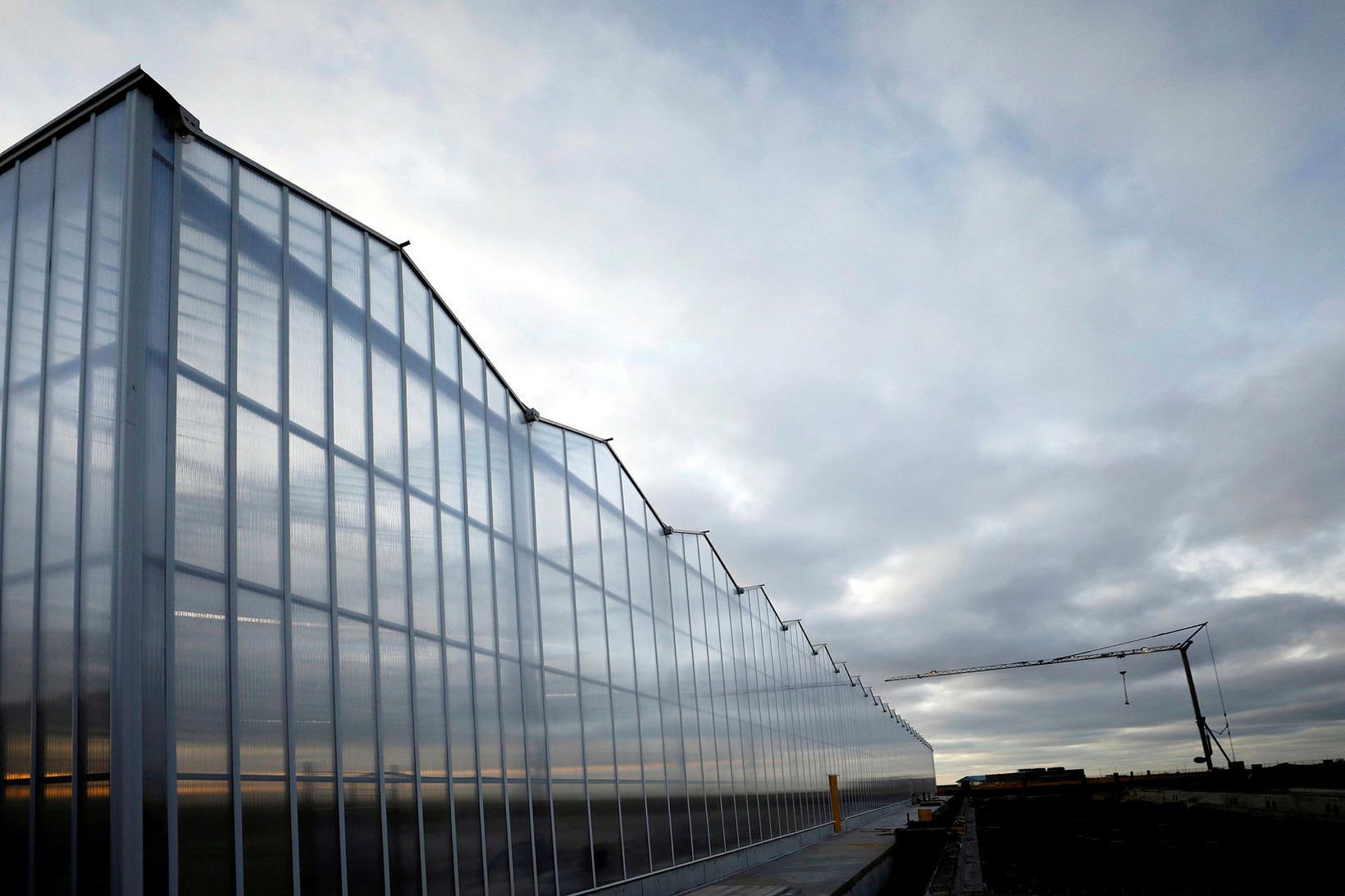 Algalíf 25 milljarða virði? – mbl.is